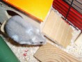 /album/flanky/p1030659-jpg/